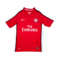 Arsenal 2008/09 Local
