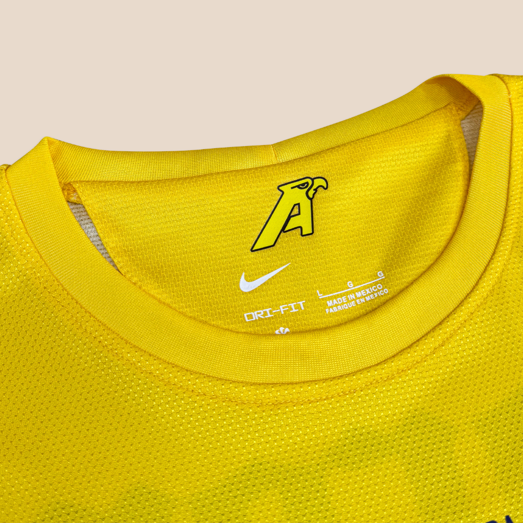 América 2012/13 Local