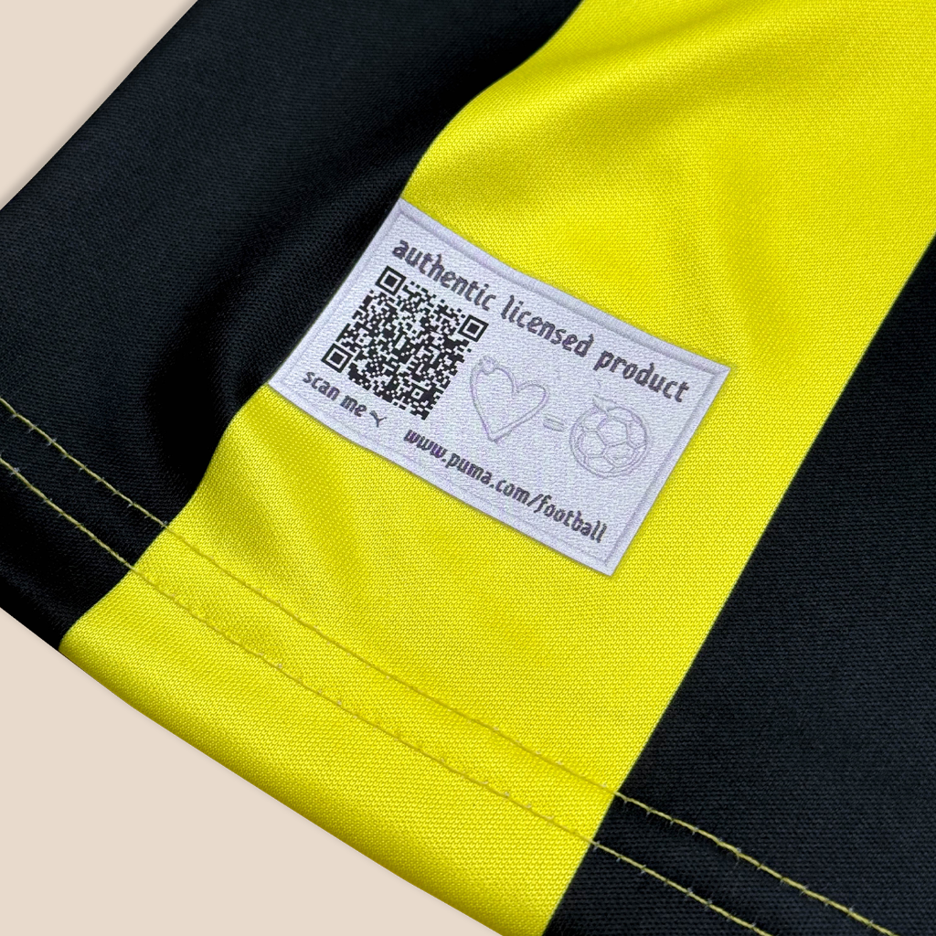 Borussia Dortmund 2012/13 Local
